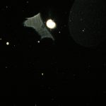 Orbs (19)