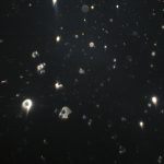Orbs (65)