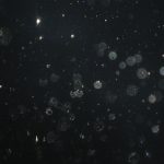 Orbs (70)