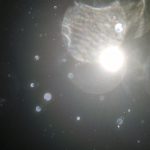 Orbs (74)