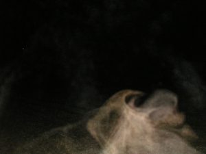 Nebel Orbs (46)